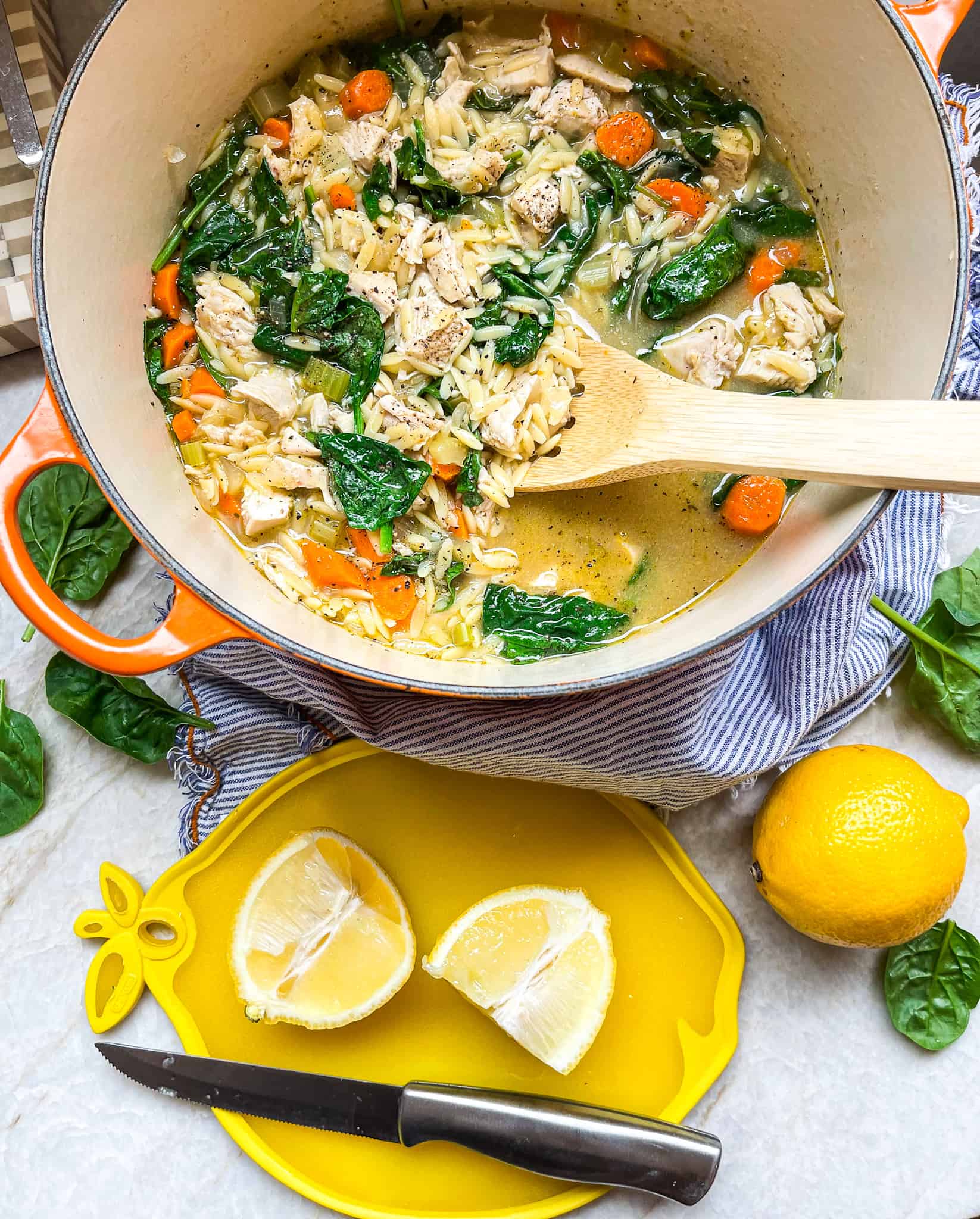 One Pot Lemon Chicken Orzo Soup - Tipps in the Kitch -