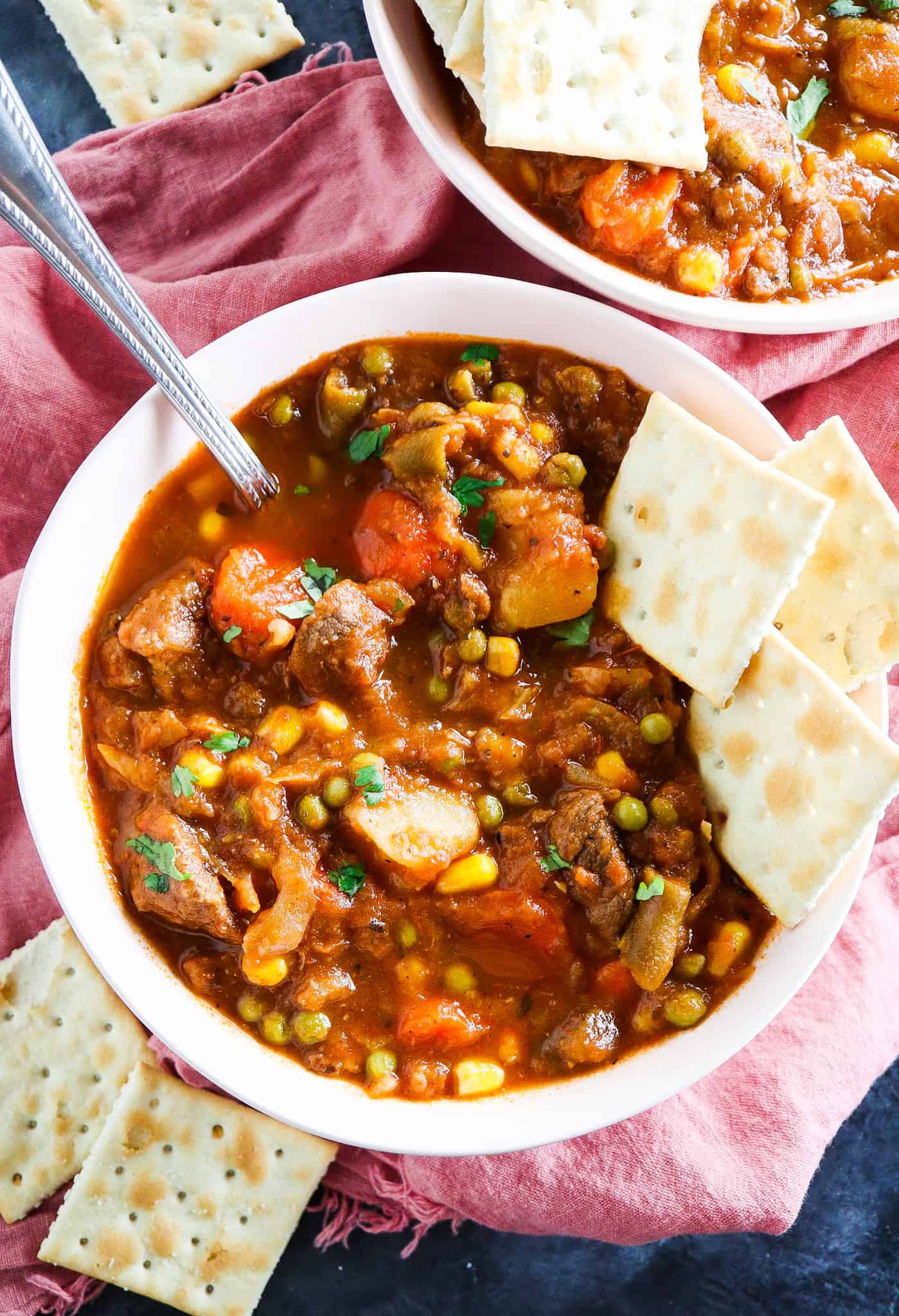 Zsa Zsa's Vegetable Beef Soup - Tipps in the Kitch -